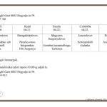 17. Heti men&uuml;aj&aacute;nlatunk 