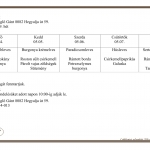 19. Heti men&uuml;aj&aacute;nlatunk 