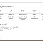 25. Heti men&uuml;aj&aacute;nlatunk 