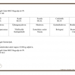 26. Heti men&uuml;aj&aacute;nlatunk 