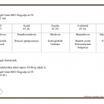 31. Heti men&uuml;aj&aacute;nlatunk 