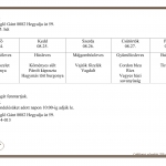 35. Heti men&uuml;aj&aacute;nlatunk 