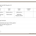 43. Heti menüajánlatunk 
