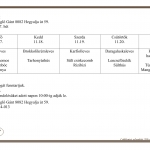47. Heti menüajánlatunk 